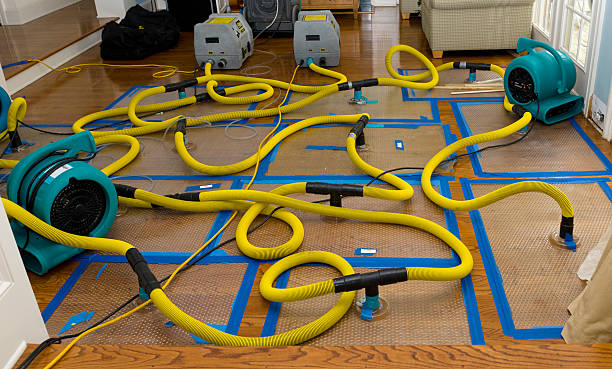 Professional Water Damage Restoration technician working in Chickamauga, GA